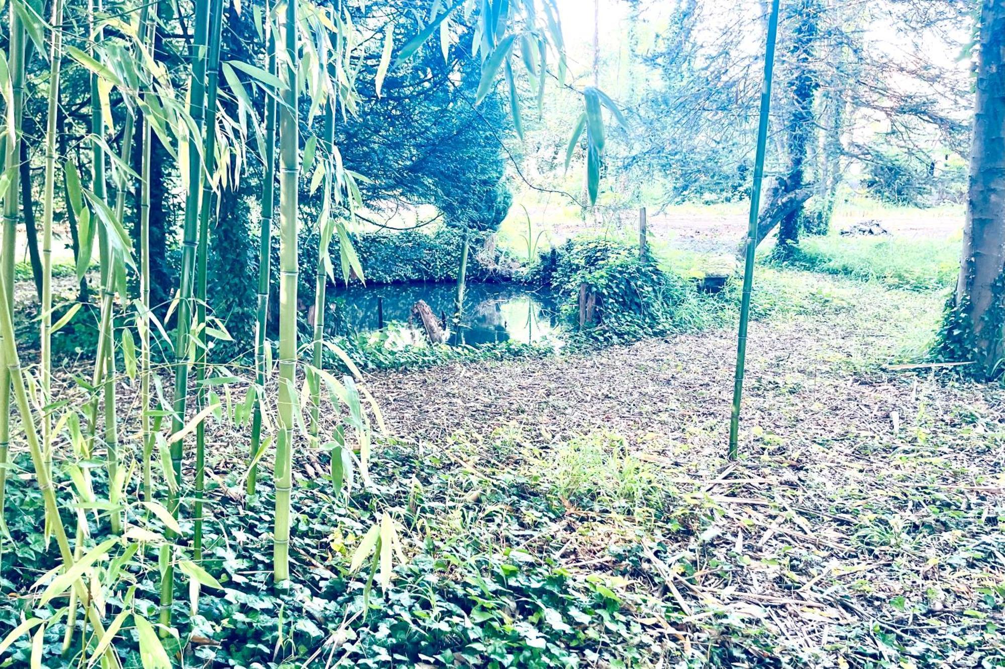 קלה-סואיל Villa Edouard - 180M2 In Nature & Forest - 20Min Disney - 7Min Airport מראה חיצוני תמונה