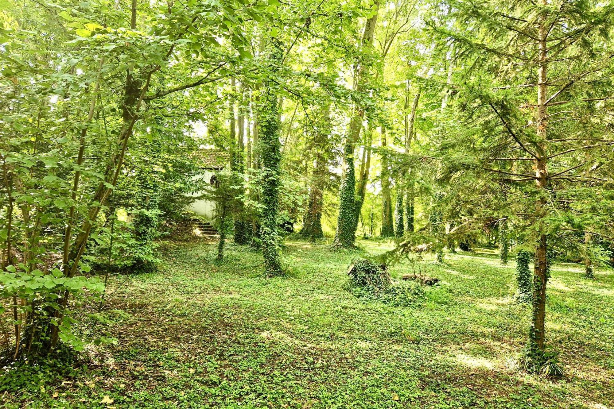 קלה-סואיל Villa Edouard - 180M2 In Nature & Forest - 20Min Disney - 7Min Airport מראה חיצוני תמונה
